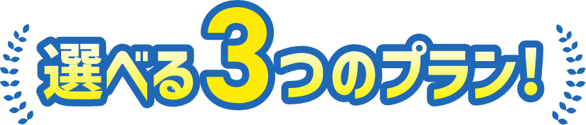 選べる３つのプラン