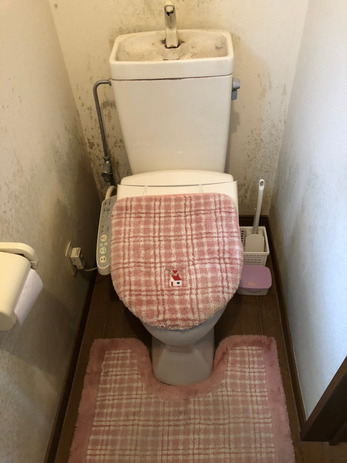 高崎市にてトイレの水漏れの影響でカビが発生したとのことで現場調査に行ってきました！