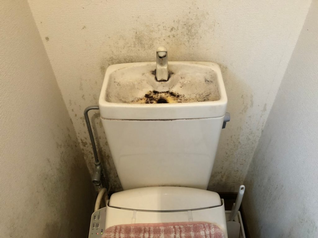高崎市にてトイレの水漏れの影響でカビが発生したとのことで現場調査に行ってきました 施工実績no 1ミヤケンリフォーム